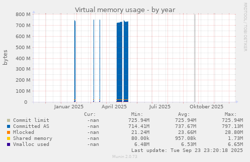Virtual memory usage
